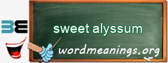 WordMeaning blackboard for sweet alyssum